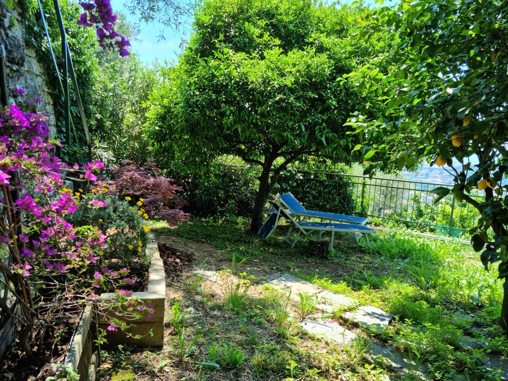 B&B La Terrazza Sui Fieschi Cogorno Luaran gambar