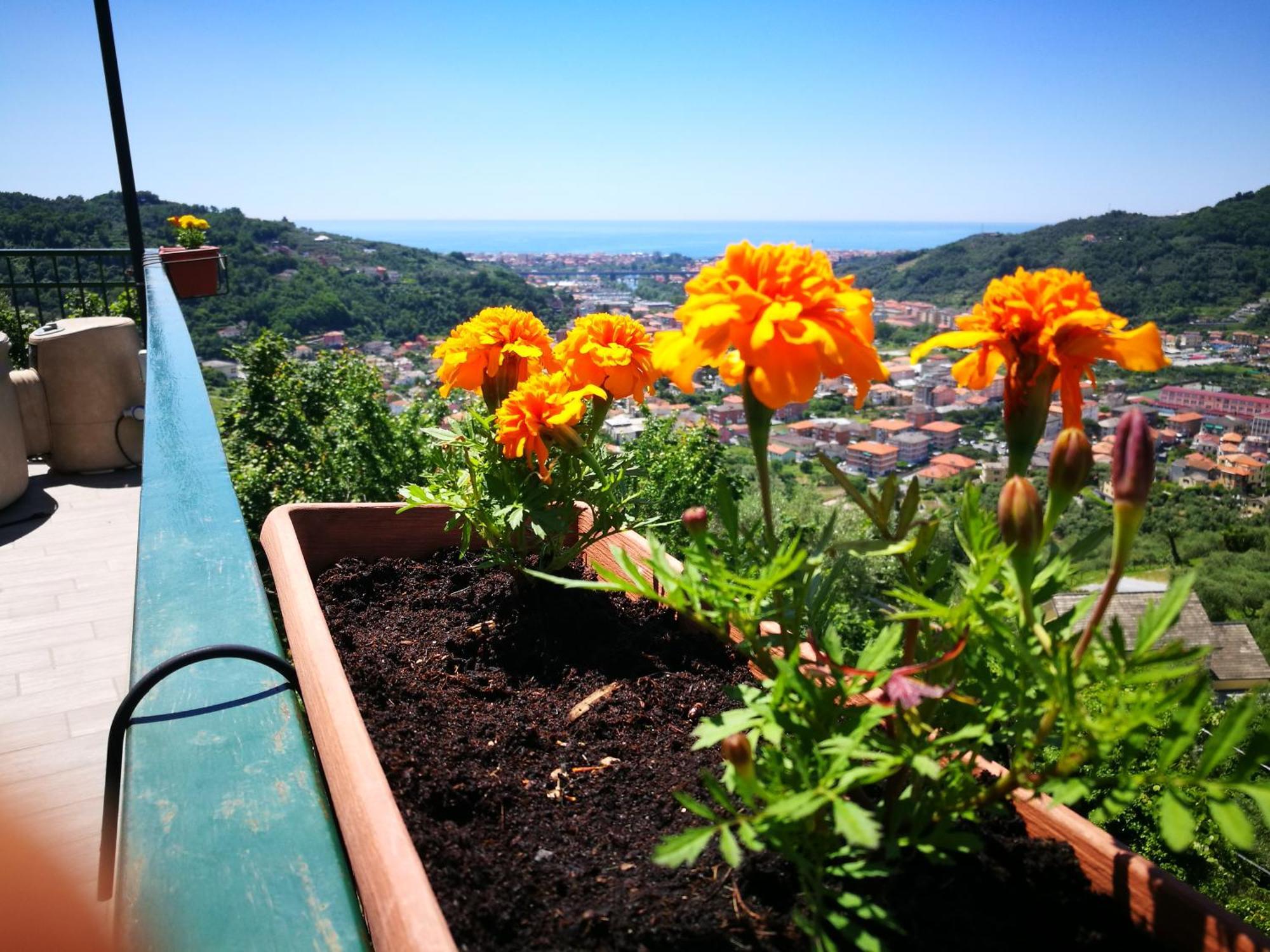 B&B La Terrazza Sui Fieschi Cogorno Luaran gambar