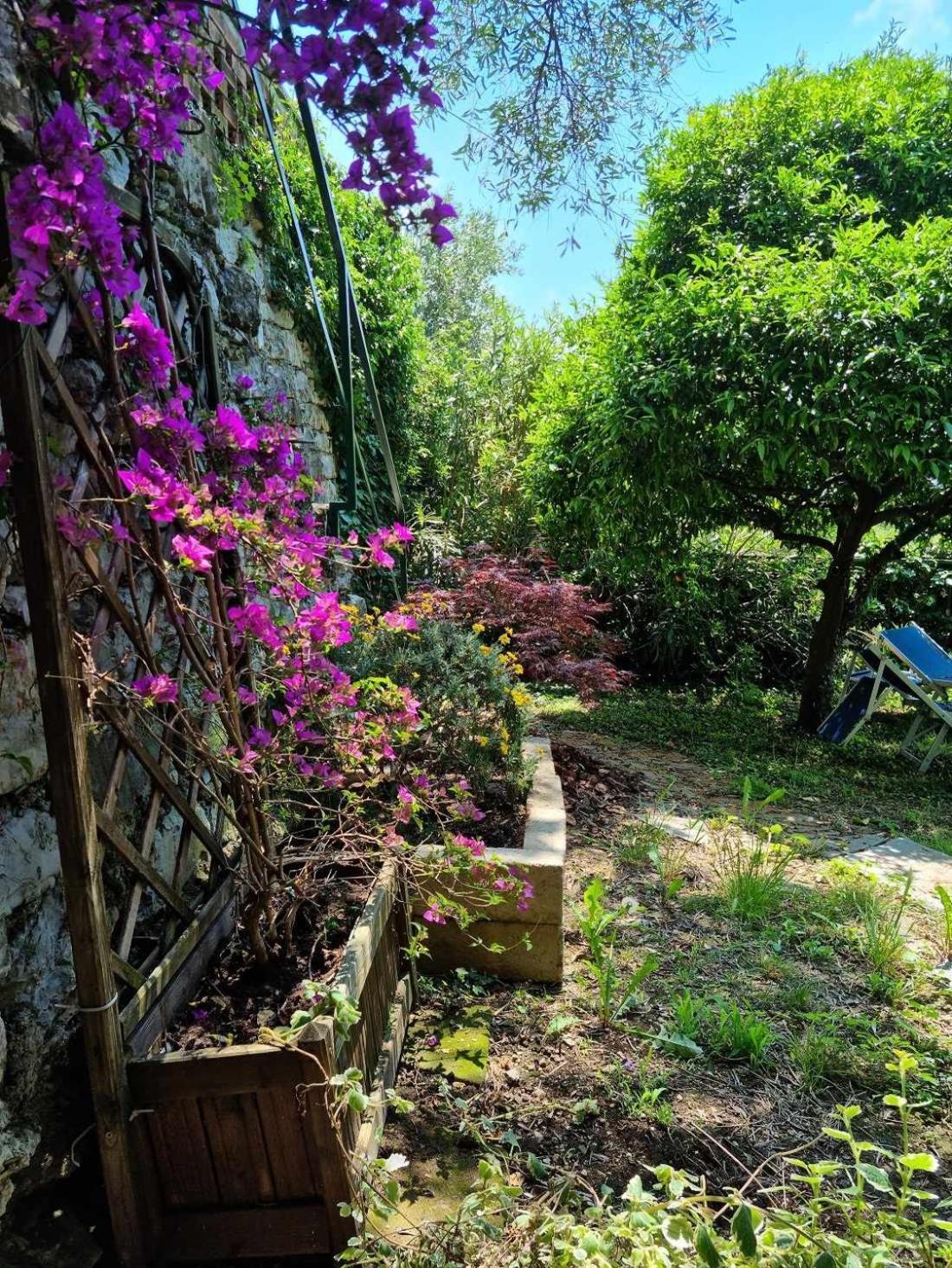 B&B La Terrazza Sui Fieschi Cogorno Bilik gambar